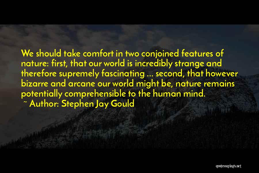 Arcane Quotes By Stephen Jay Gould