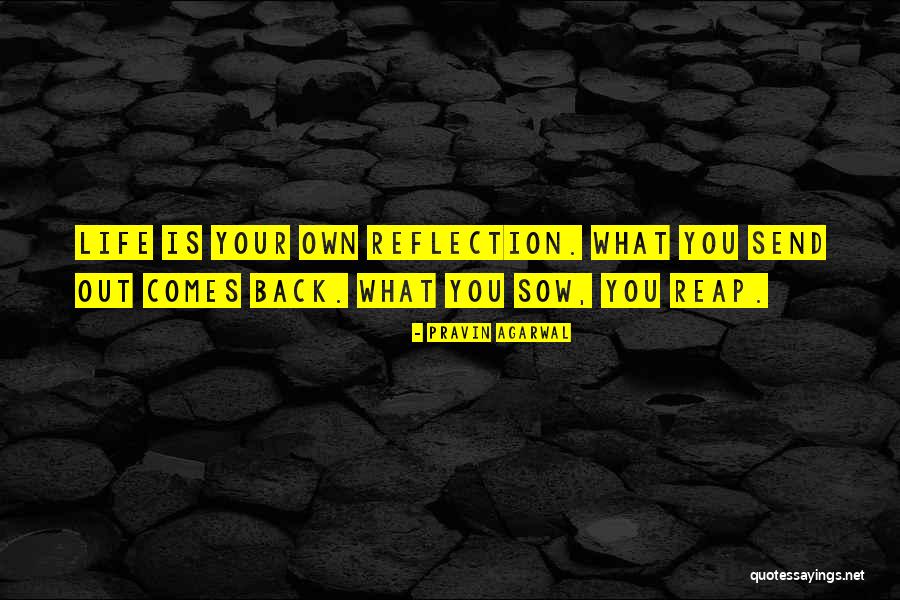 Arcanjo Sao Quotes By Pravin Agarwal Arcanjo Sao Quotes By Pravin Agarwal