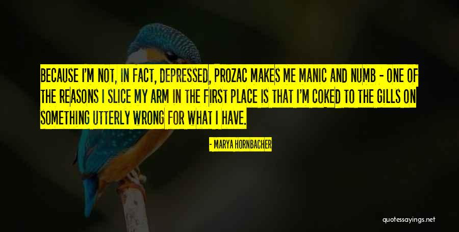 Arcari Iovino Quotes By Marya Hornbacher Arcari Iovino Quotes By Marya Hornbacher