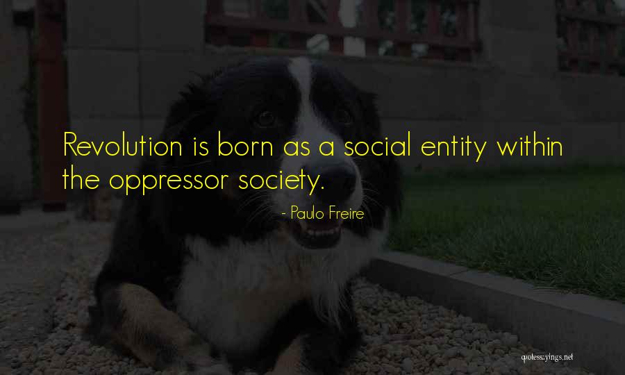 Arcata California Quotes By Paulo Freire Arcata California Quotes By Paulo Freire