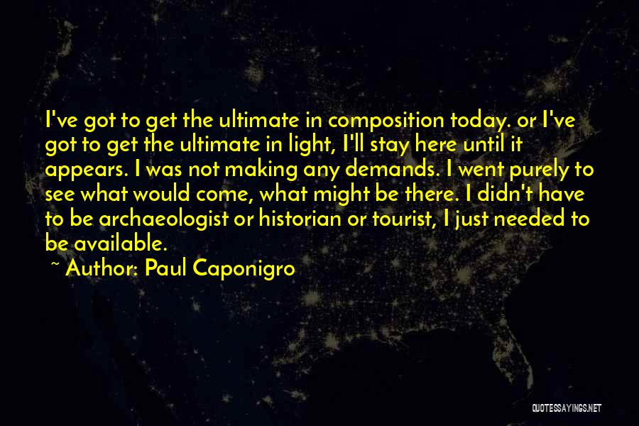 Archaeologist Quotes By Paul Caponigro