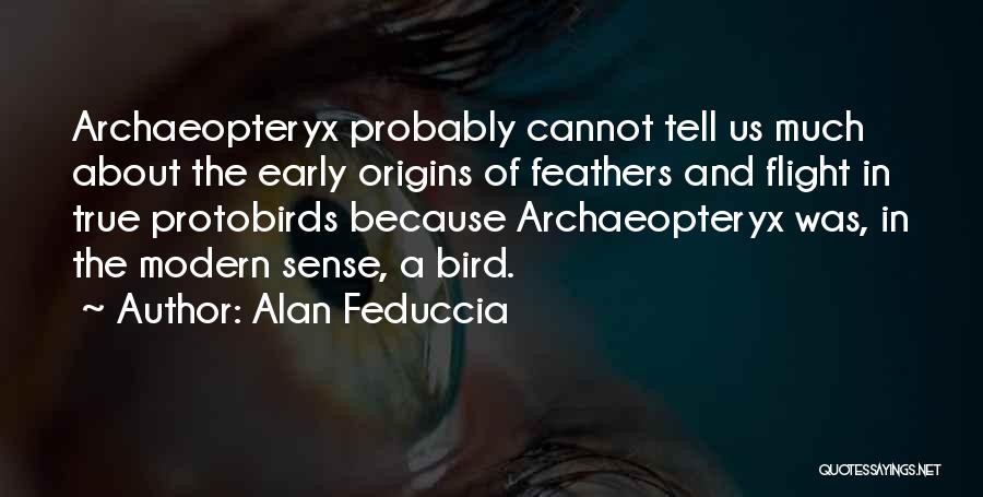 Archaeopteryx Quotes By Alan Feduccia