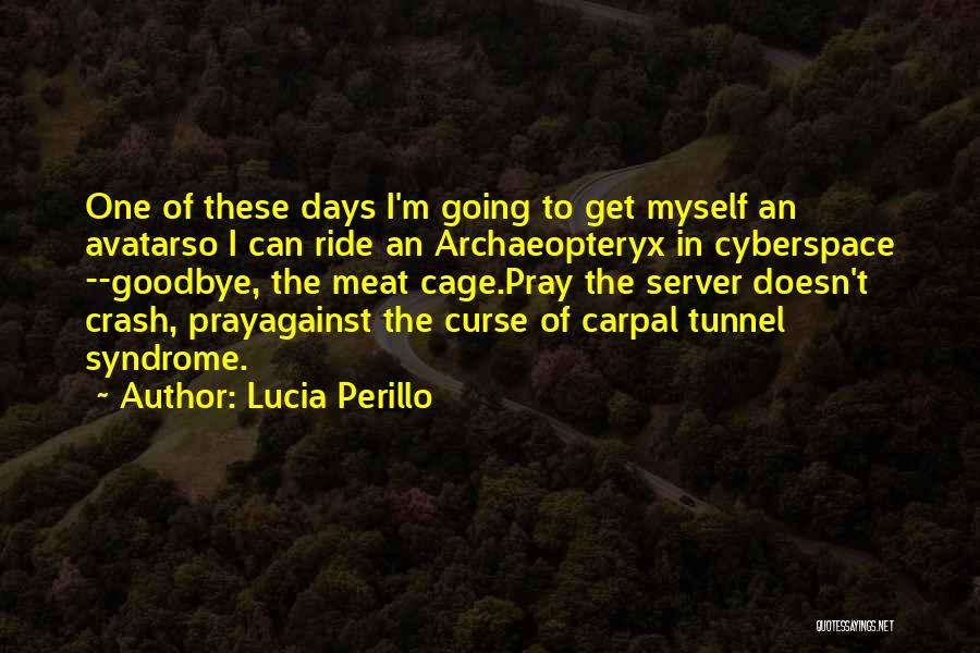 Archaeopteryx Quotes By Lucia Perillo