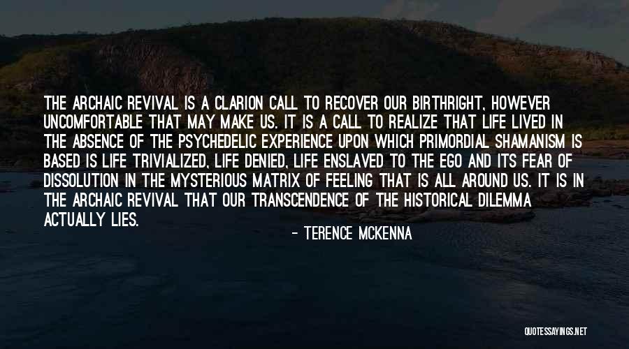 Archaic Revival Quotes By Terence McKenna