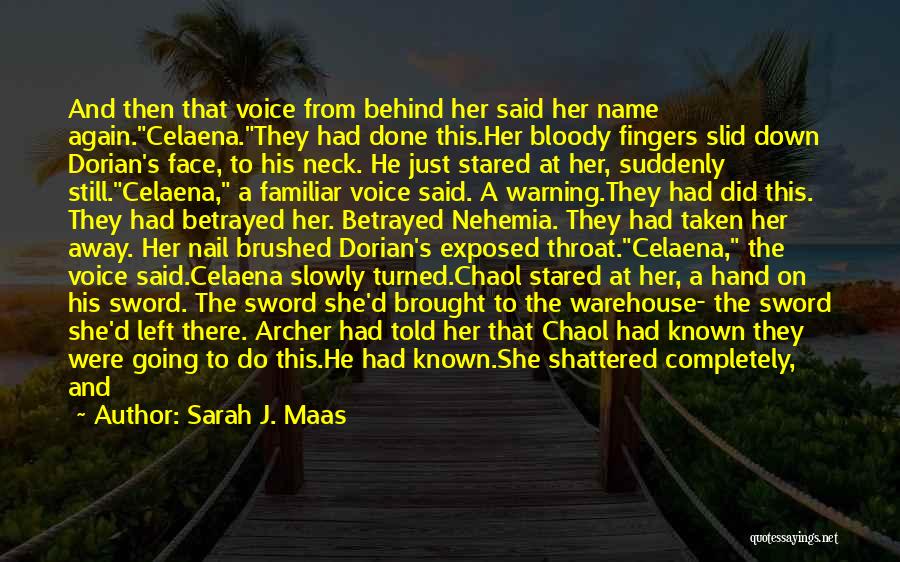 Archer He Said Quotes By Sarah J. Maas