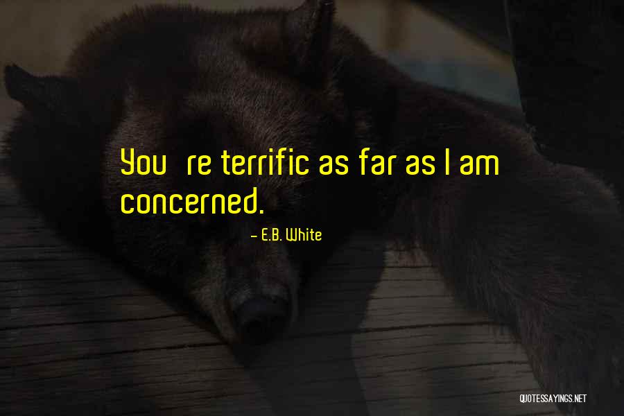 Archer Vice Baby Shower Quotes By E.B. White