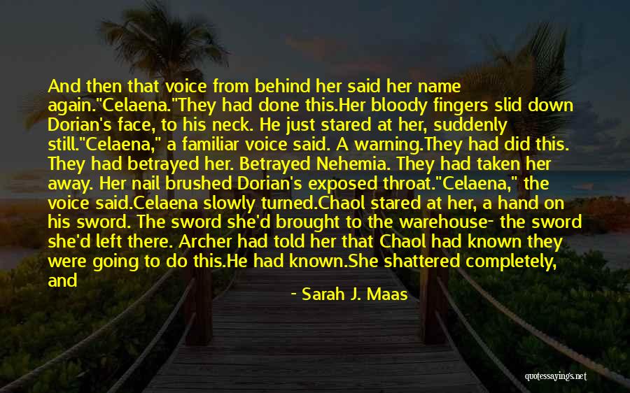 Archer's Voice Quotes By Sarah J. Maas