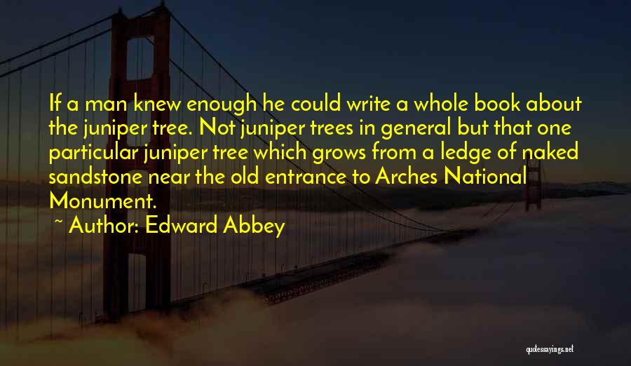 Arches Quotes By Edward Abbey