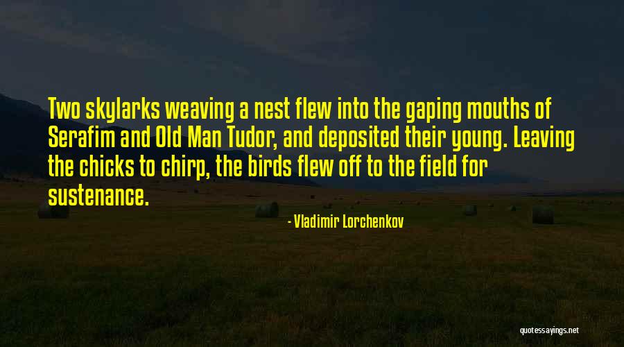 Archetecture Quotes By Vladimir Lorchenkov Archetecture Quotes By Vladimir Lorchenkov