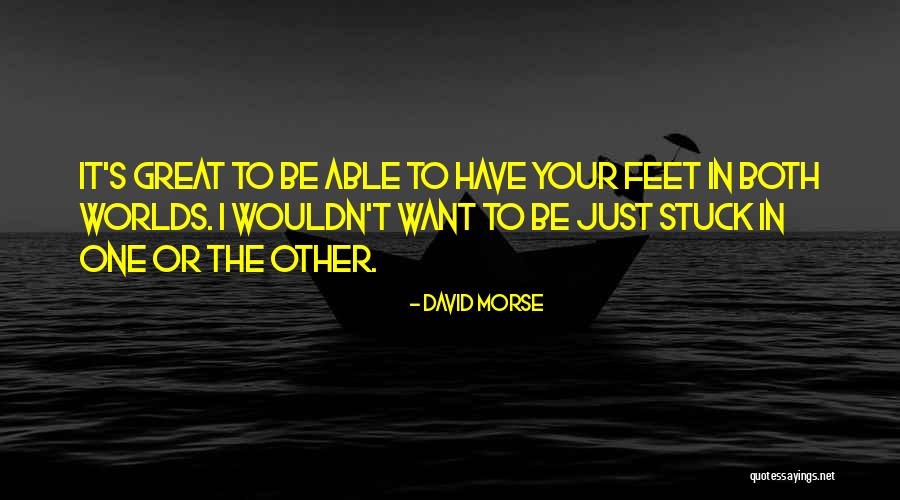 Archilover Quotes By David Morse Archilover Quotes By David Morse