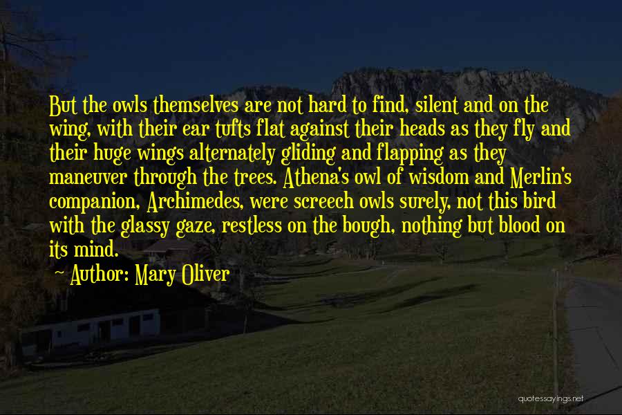 Archimedes Owl Quotes By Mary Oliver