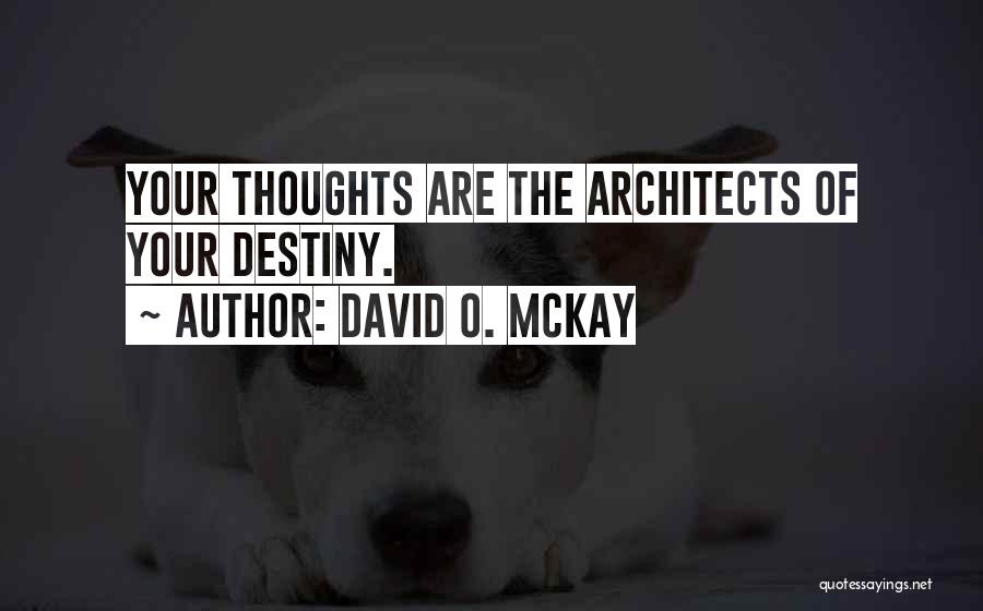 Architects Quotes By David O. McKay