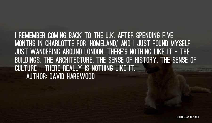 Architecture And History Quotes By David Harewood