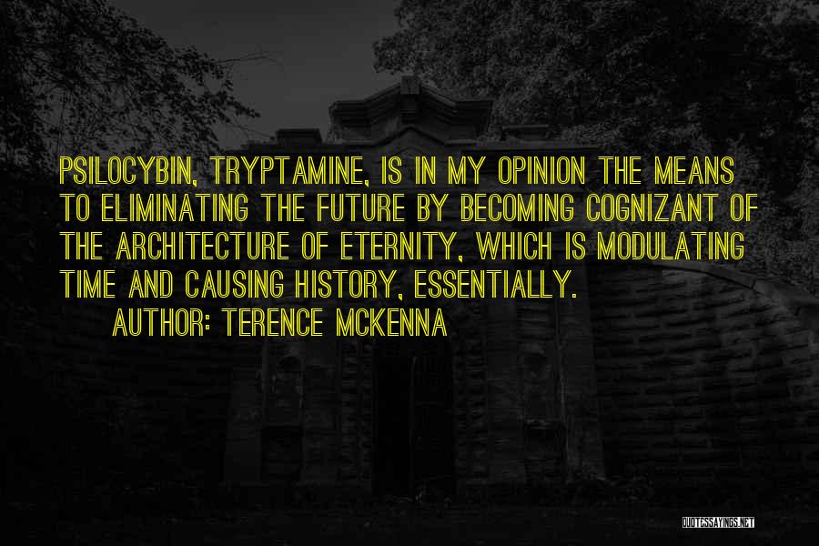 Architecture And History Quotes By Terence McKenna