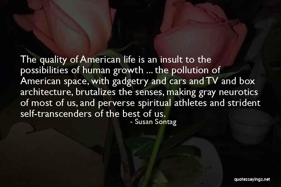 Architecture And Life Quotes By Susan Sontag Architecture And Life Quotes By Susan Sontag