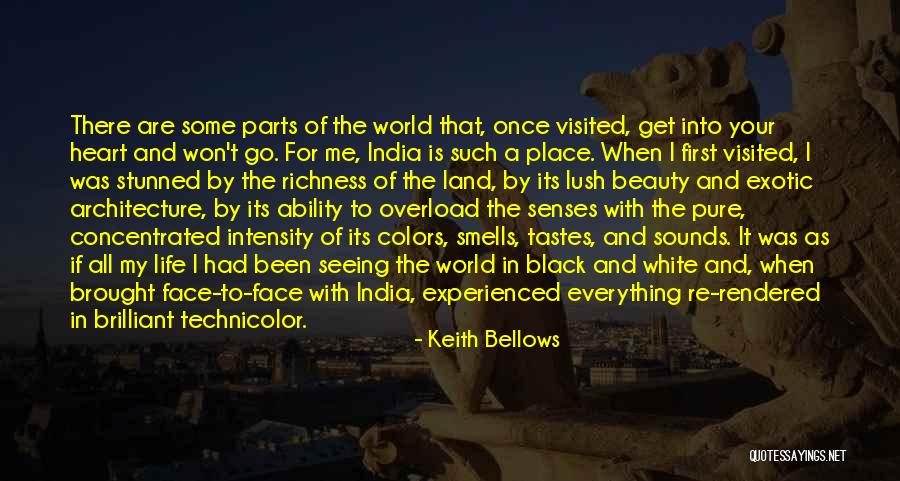 Architecture And The Senses Quotes By Keith Bellows