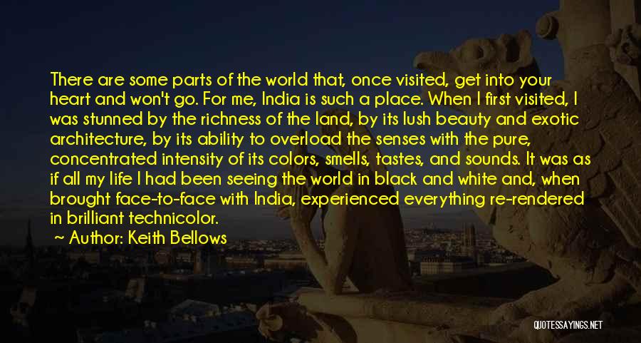 Architecture Beauty Quotes By Keith Bellows