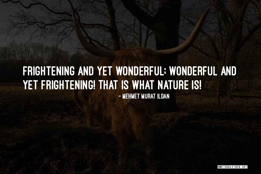 Archivists Prize Quotes By Mehmet Murat Ildan Archivists Prize Quotes By Mehmet Murat Ildan