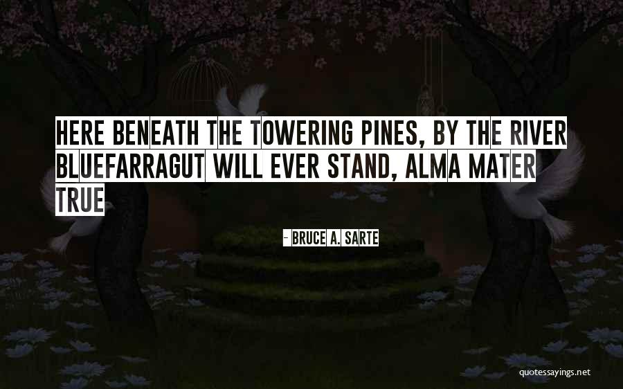Archivos Rar Quotes By Bruce A. Sarte