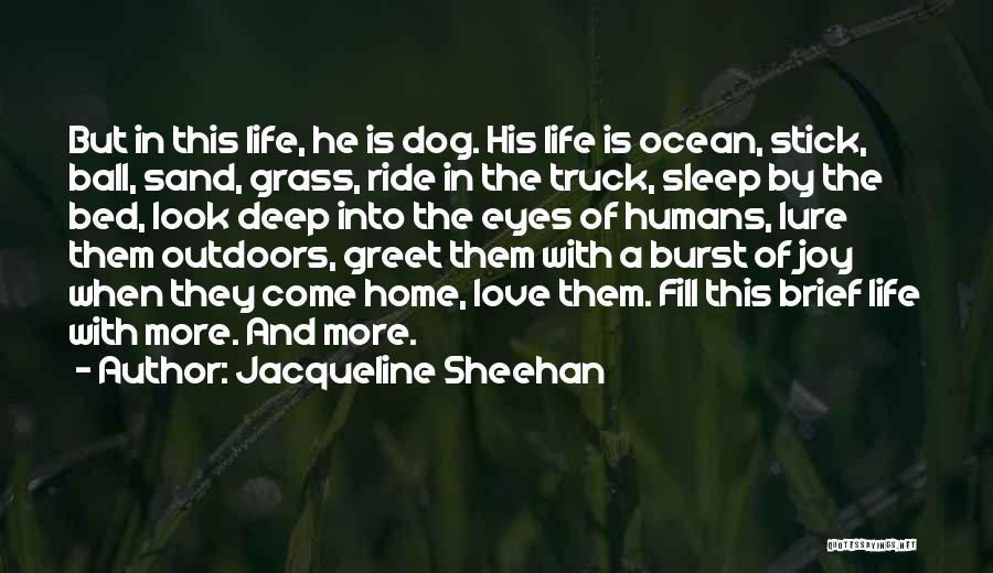 Archmages Quotes By Jacqueline Sheehan