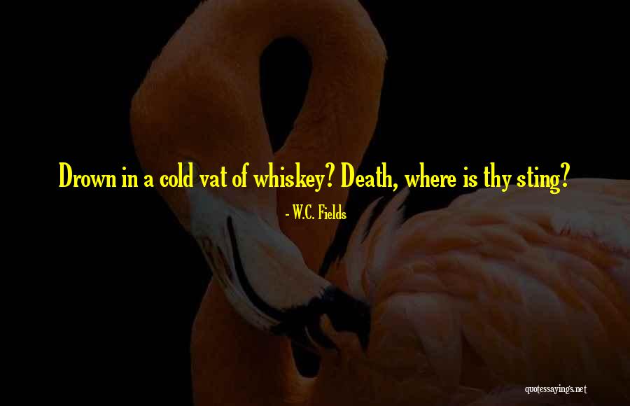 Arcidiacono Economics Quotes By W.C. Fields Arcidiacono Economics Quotes By W.C. Fields