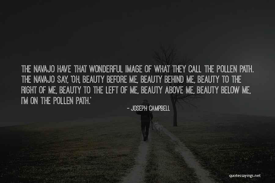 Arctotis Cherry Quotes By Joseph Campbell Arctotis Cherry Quotes By Joseph Campbell