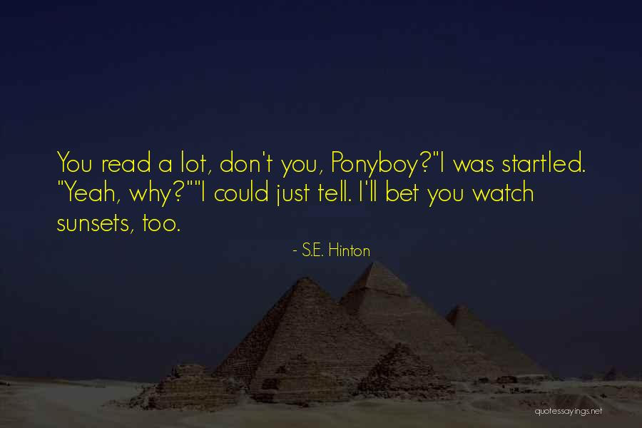 Ardenia Mansion Quotes By S.E. Hinton Ardenia Mansion Quotes By S.E. Hinton