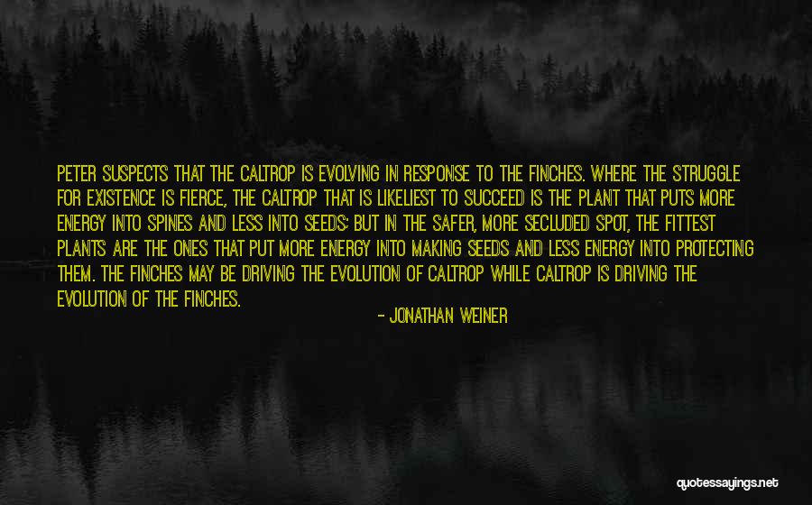 Ardillas Para Quotes By Jonathan Weiner Ardillas Para Quotes By Jonathan Weiner