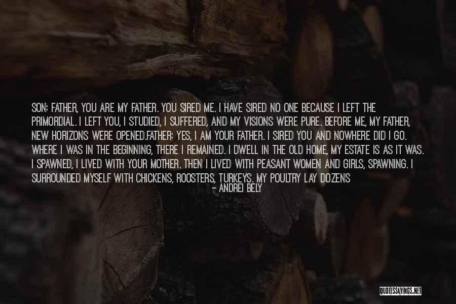 Ardon Quotes By Andrei Bely Ardon Quotes By Andrei Bely