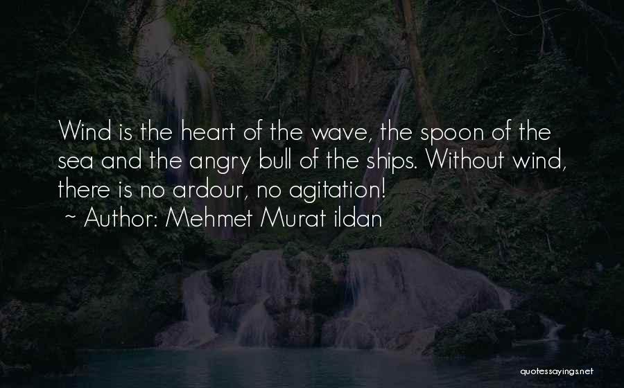 Ardour Quotes By Mehmet Murat Ildan