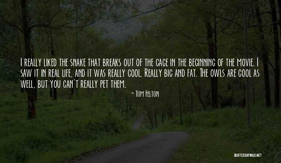 Are Fat Quotes By Tom Felton Are Fat Quotes By Tom Felton