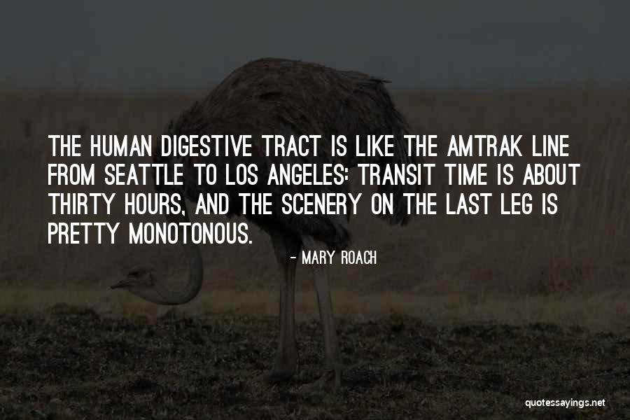 Are Footnotes Quotes By Mary Roach Are Footnotes Quotes By Mary Roach