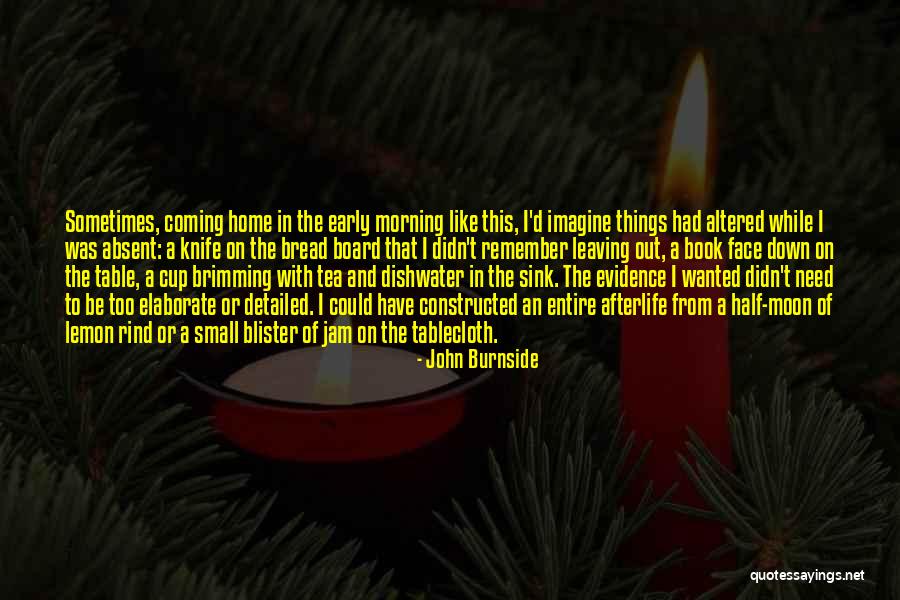 Are Half Moon Quotes By John Burnside Are Half Moon Quotes By John Burnside