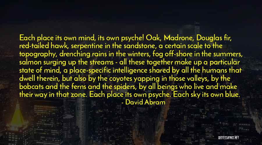 Are Live Oak Quotes By David Abram Are Live Oak Quotes By David Abram
