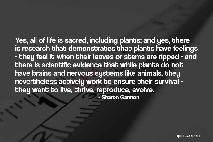 Are Live Plants Quotes By Sharon Gannon Are Live Plants Quotes By Sharon Gannon