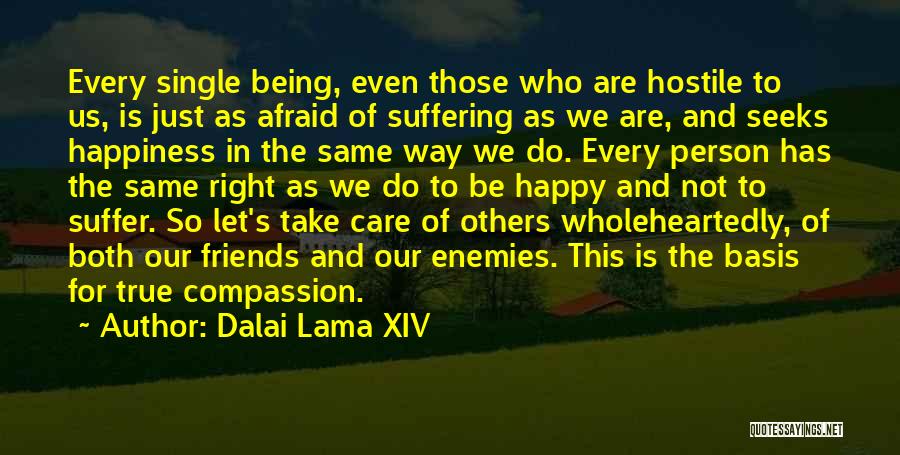 Are We Even Friends Quotes By Dalai Lama XIV