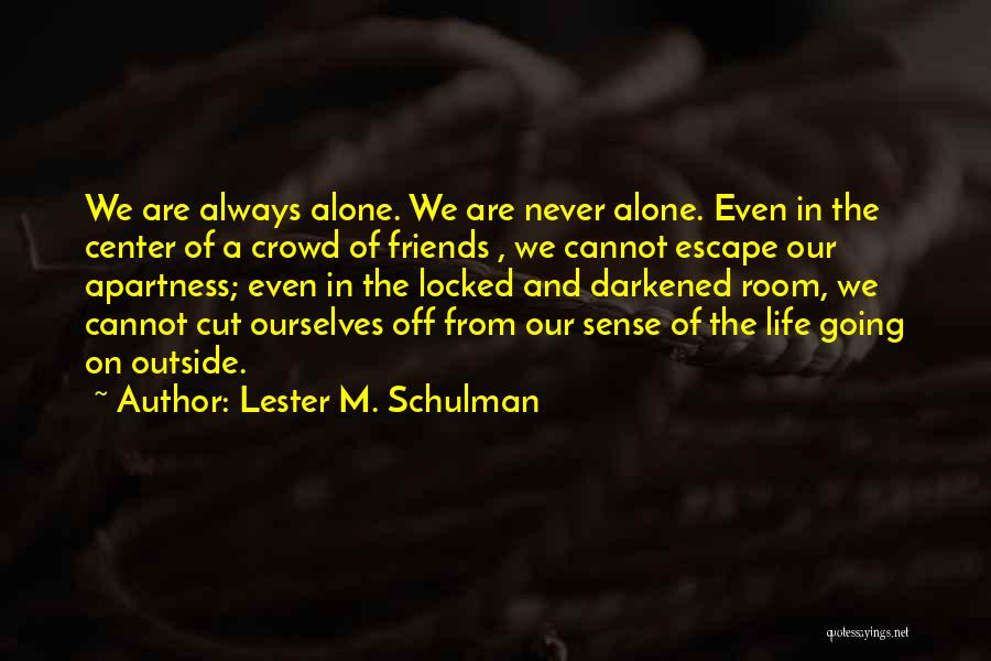 Are We Even Friends Quotes By Lester M. Schulman