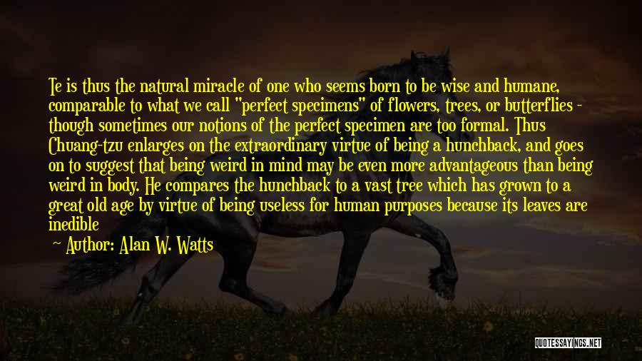 Are We Quotes By Alan W. Watts