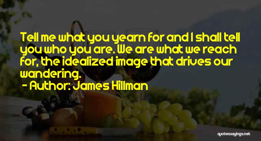 Are We Quotes By James Hillman