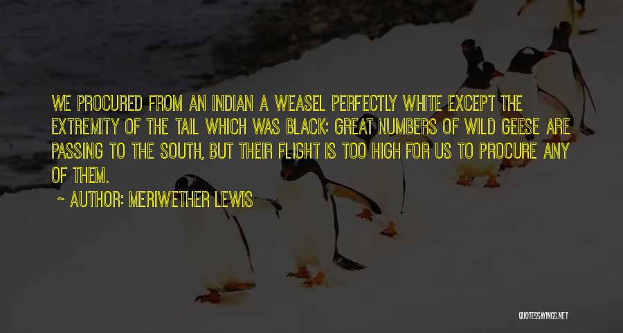 Are We Quotes By Meriwether Lewis