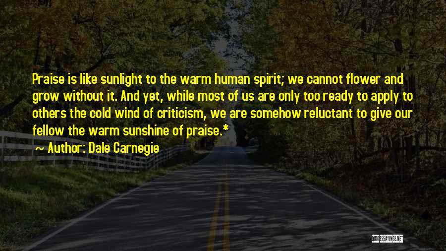 Are We Ready Quotes By Dale Carnegie