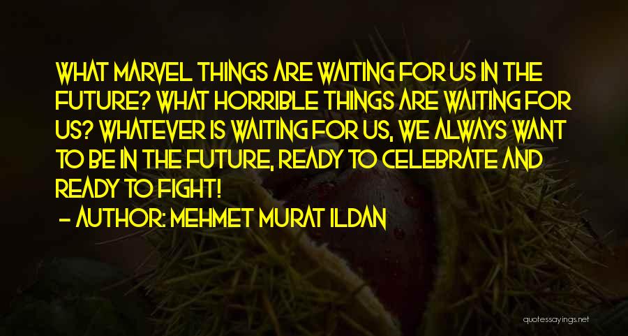 Are We Ready Quotes By Mehmet Murat Ildan