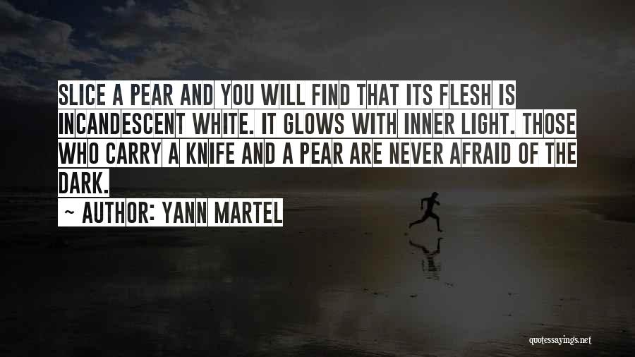 Are You Afraid Of The Dark Quotes By Yann Martel