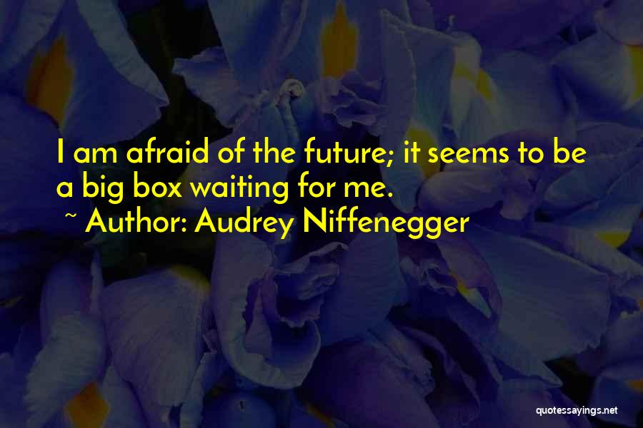 Are You Afraid Of The Future Quotes By Audrey Niffenegger