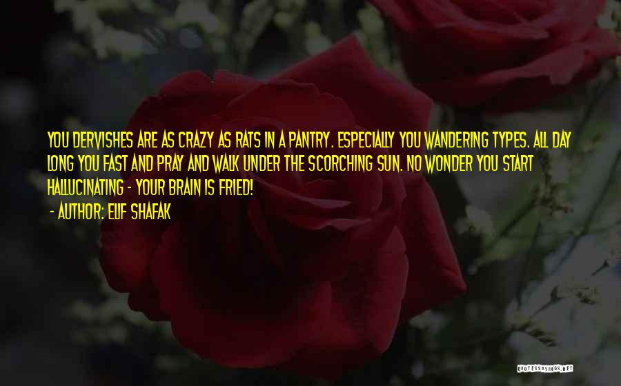 Are You Crazy Quotes By Elif Shafak