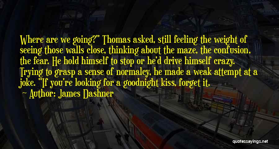 Are You Crazy Quotes By James Dashner