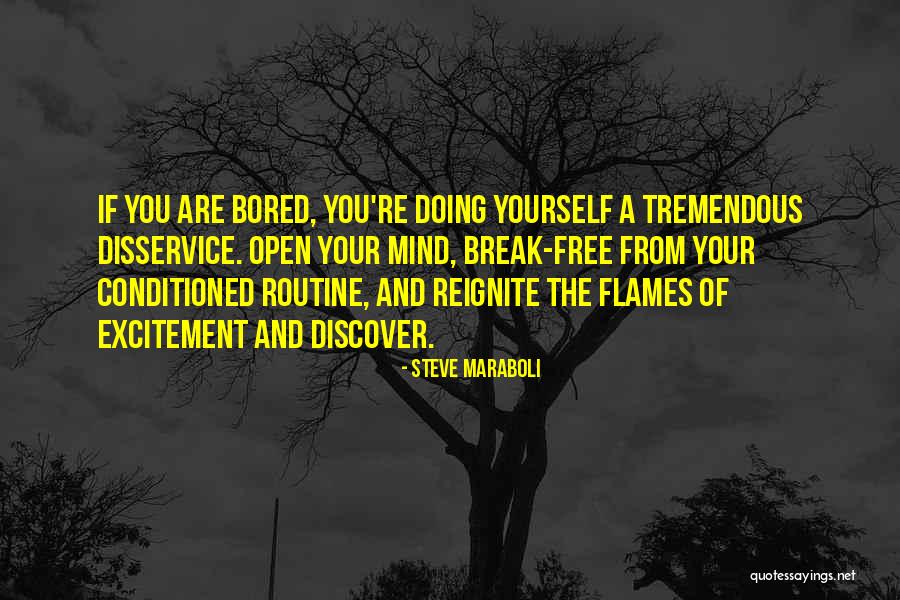 Are You Free Quotes By Steve Maraboli