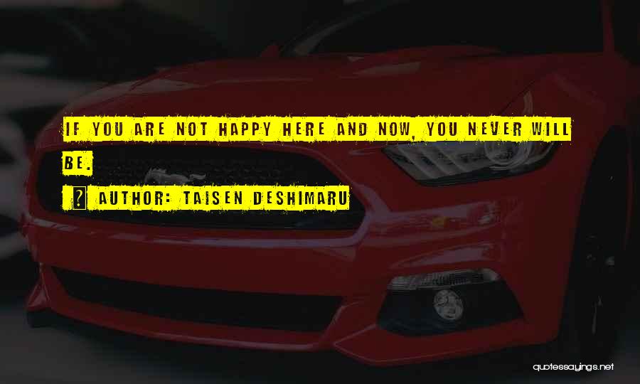 Are You Happy Now Quotes By Taisen Deshimaru