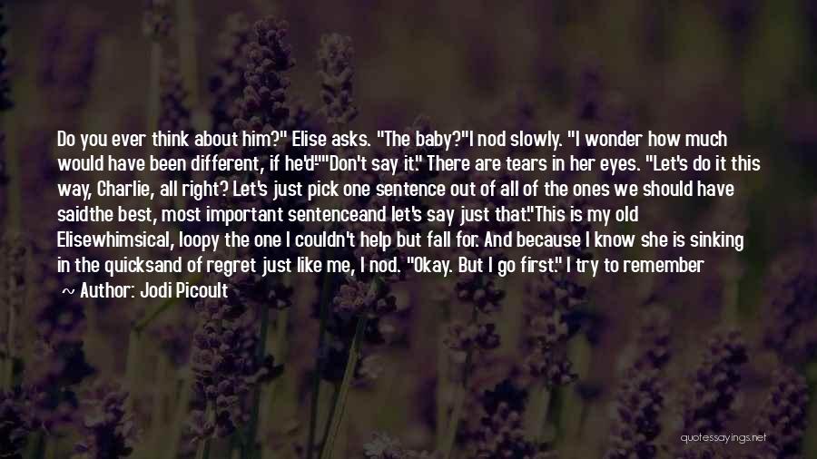 Are You Okay Quotes By Jodi Picoult