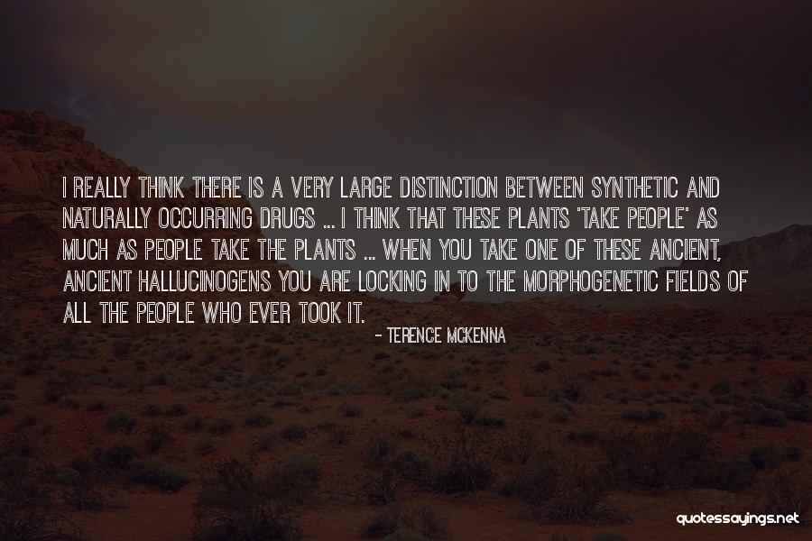 Are You Really There Quotes By Terence McKenna Are You Really There Quotes By Terence McKenna